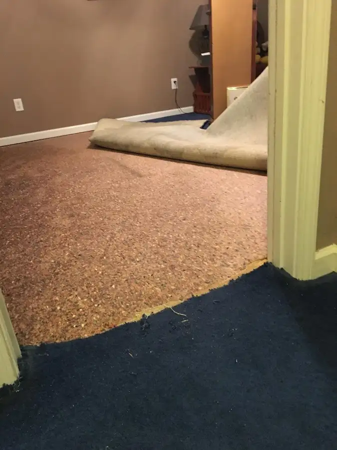 Carpet pad removal revealing water damage during Water Mitigation Services in Moultonborough