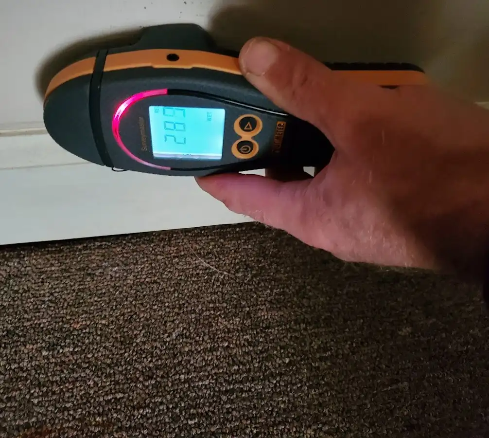 Moisture detection at baseboard during Mold Inspection & Testing in Moultonborough